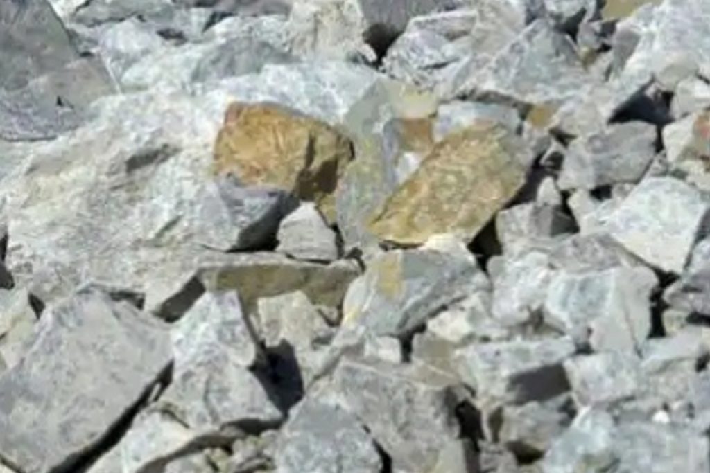 Process To Extract Lithium In Reasi Begins