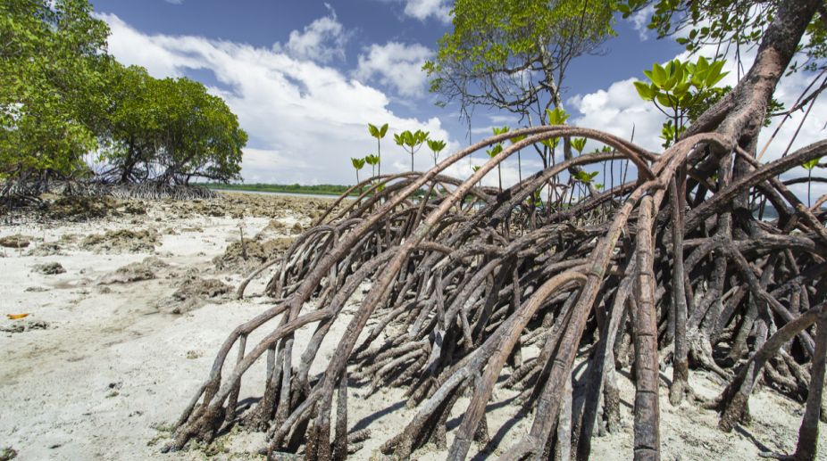 Humans reached Australia 65,000 years ago