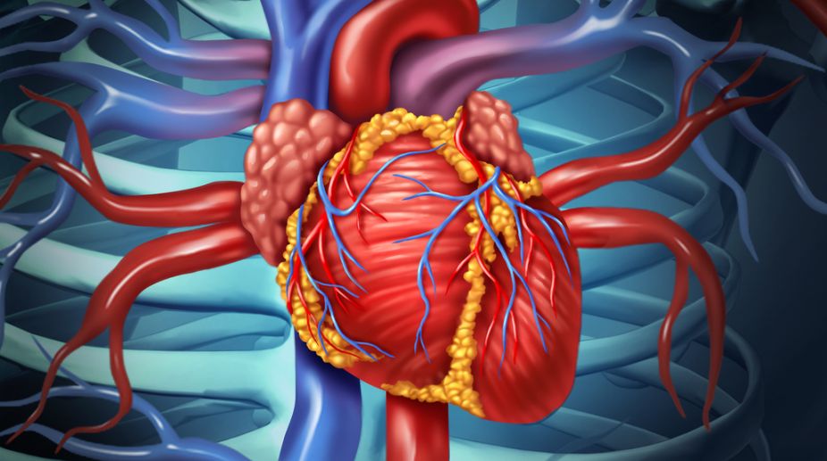 Total Arterial Revascularisation