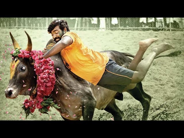 Upcoming movie Karuppan starring Vijay Sethupathi official Tamil teaser released