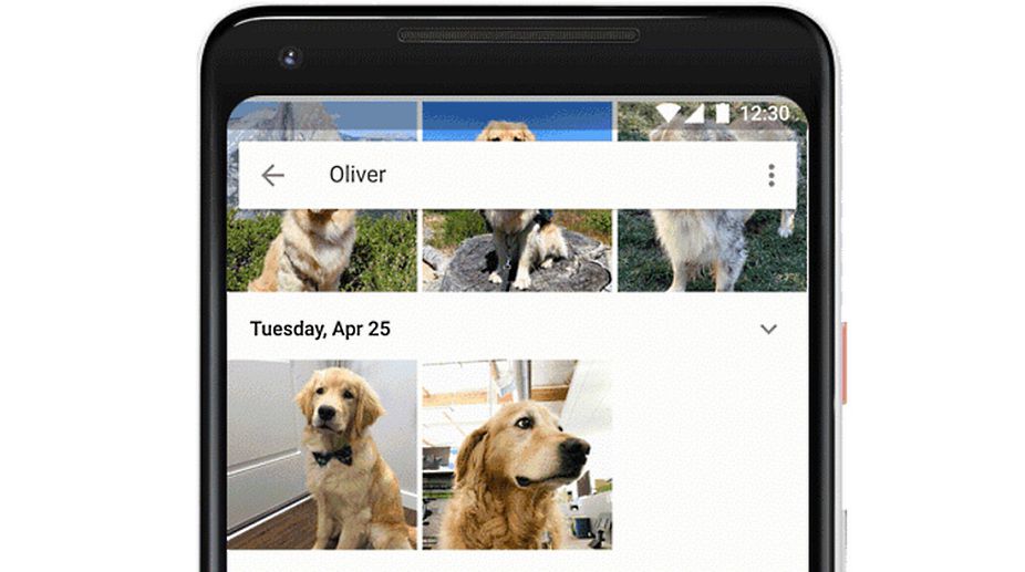 Google Photos can now recognise your pets