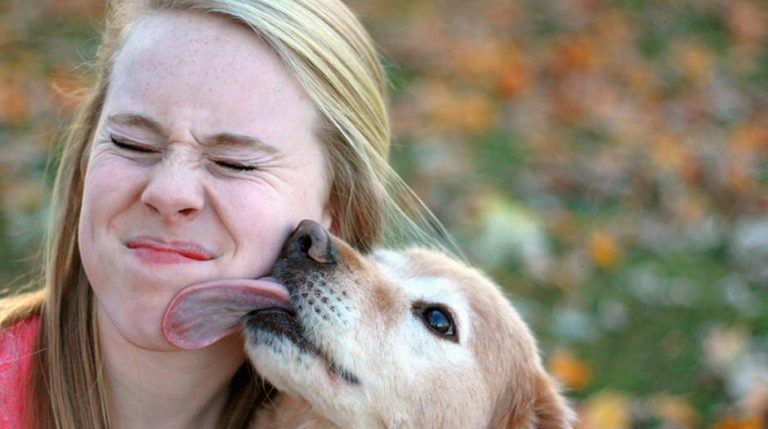 dogs-mouth-lick-in-response-to-angry-humans-the-statesman