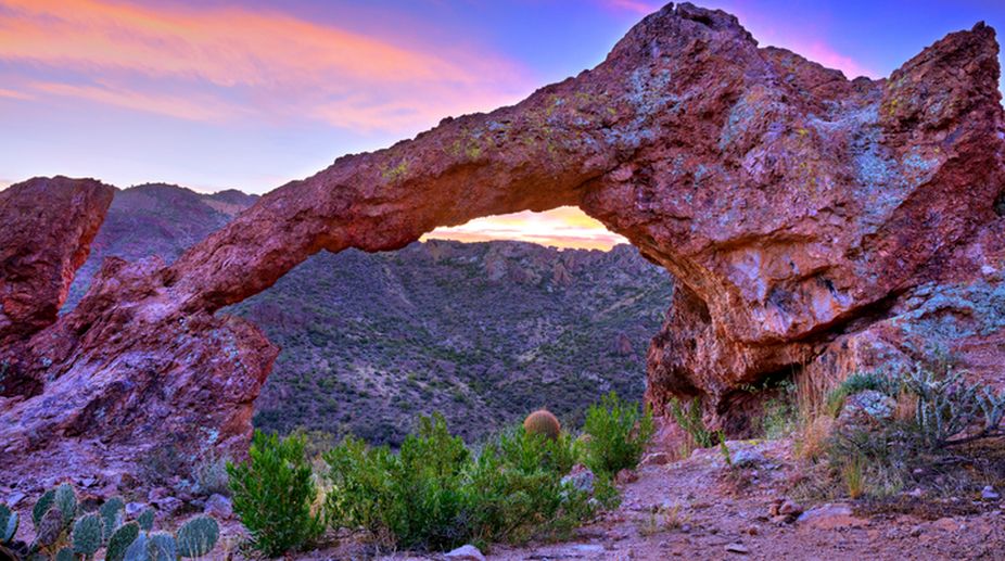 Making footprints among thorny cacti in Sonoran! - The Statesman