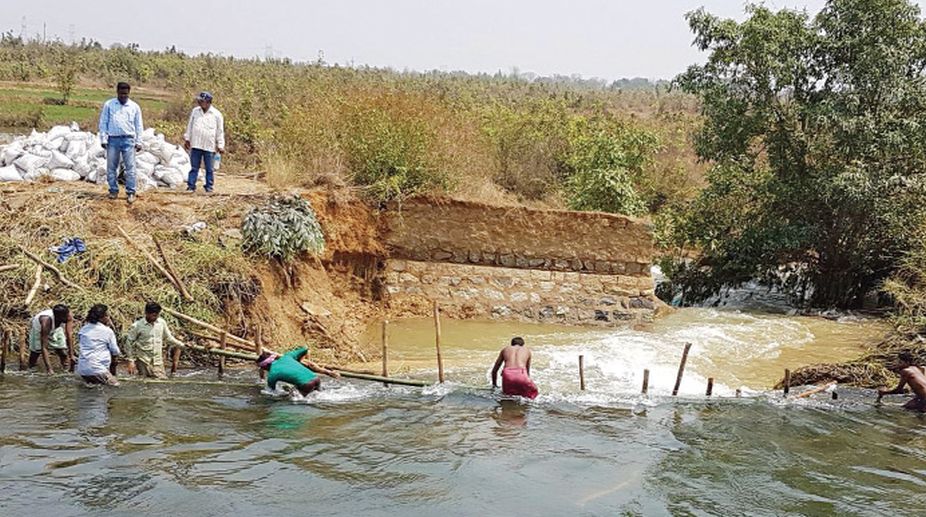 Sasan canal breach worries farmers