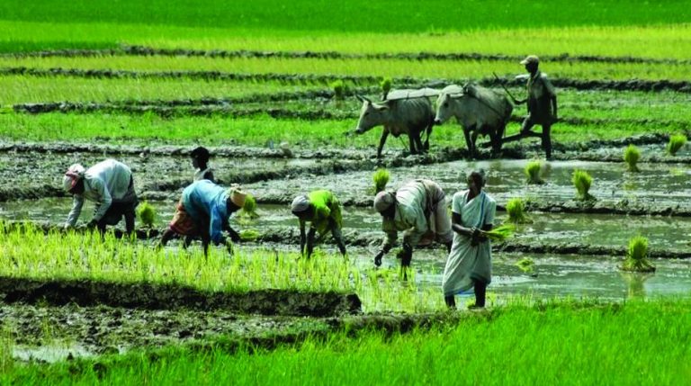 gift-of-the-bengal-left-the-statesman