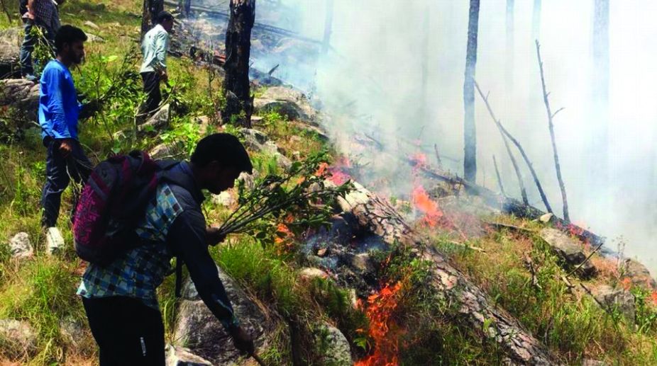Rainfall helps in controlling U’khand forest fire
