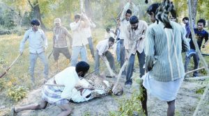 In October 2014 local residents after getting injured by leopard killed the animal with stick, stone and other farming instruments at Chorgalia, near Haldwani (Nainital).