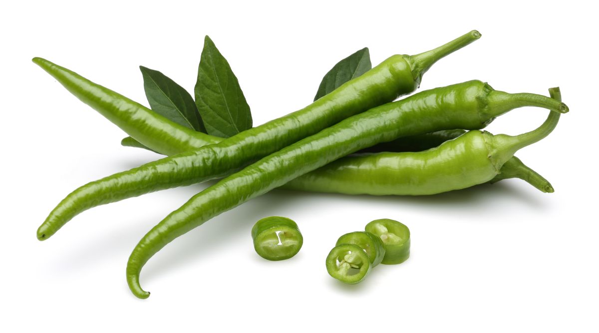 Not Many Know That A Well Known Indian Spicy Food Component Green 