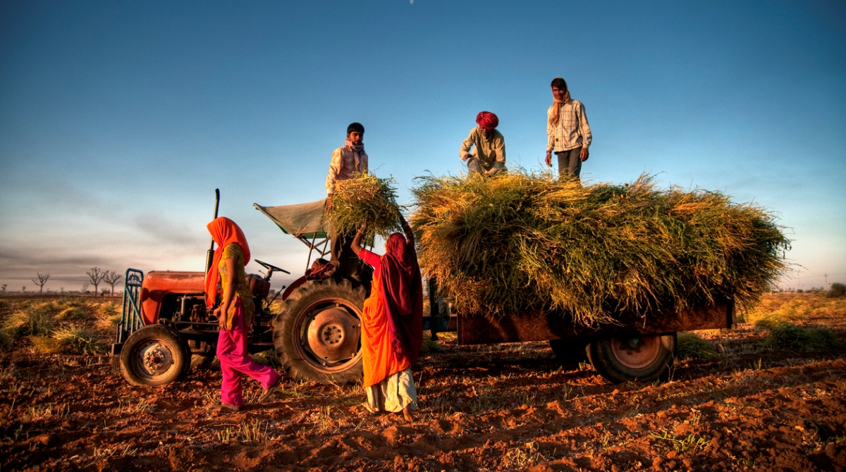 Interim Budget 2019: Govt announces PM Kisan Samman Nidhi, Rs 6000 per yr for farmers with less than 2 hectares of land