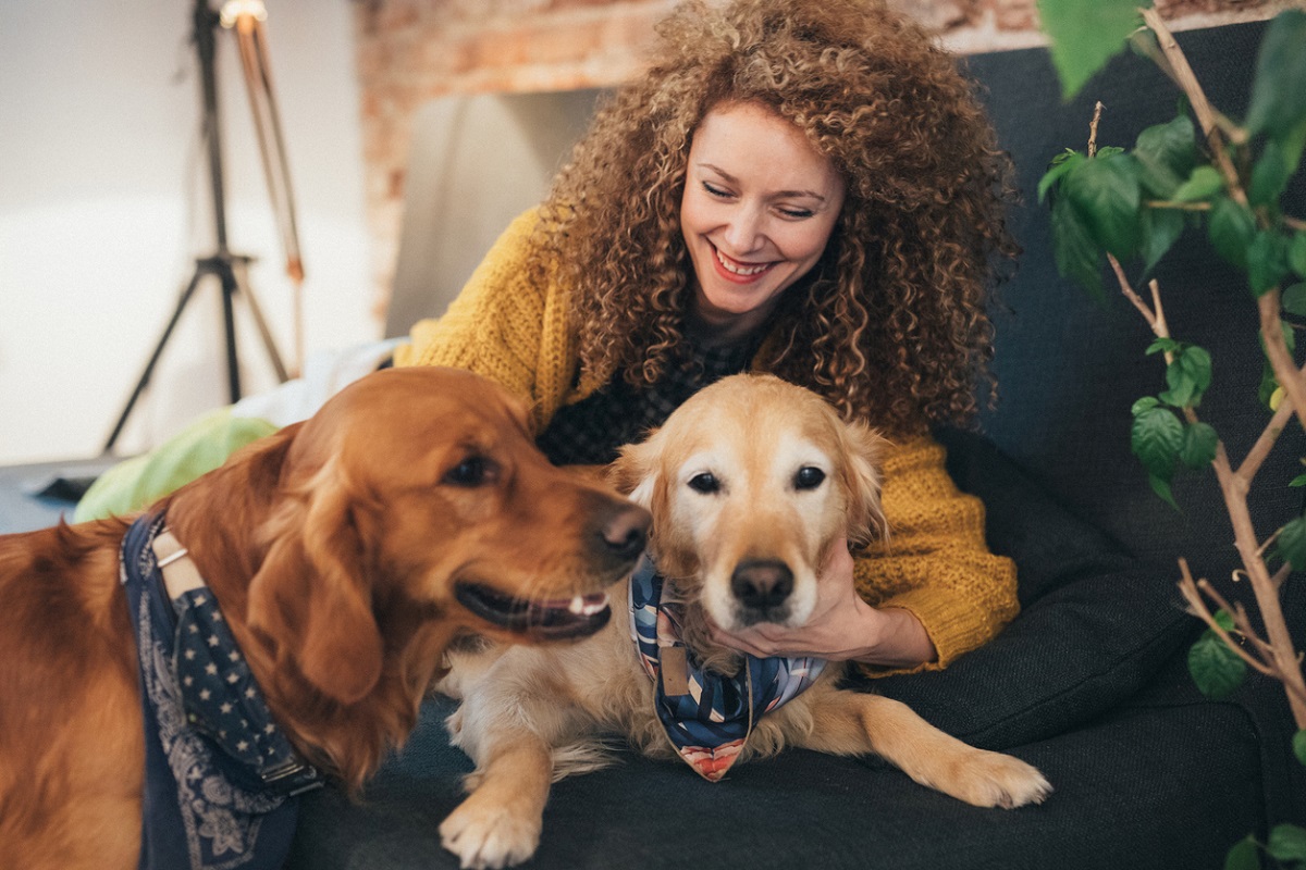 Bonding differences between dog, owner reflected in canine’s sleep: Study