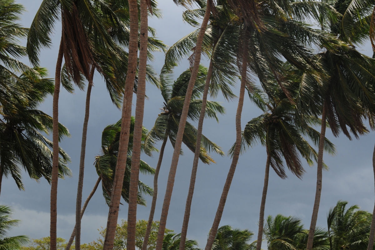 Cyclone Fani: IMD issues red alert in Tamil Nadu, Kerala