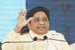 ‘Congress contested Delhi polls as BJP’s B-team’: Mayawati hits back at Rahul