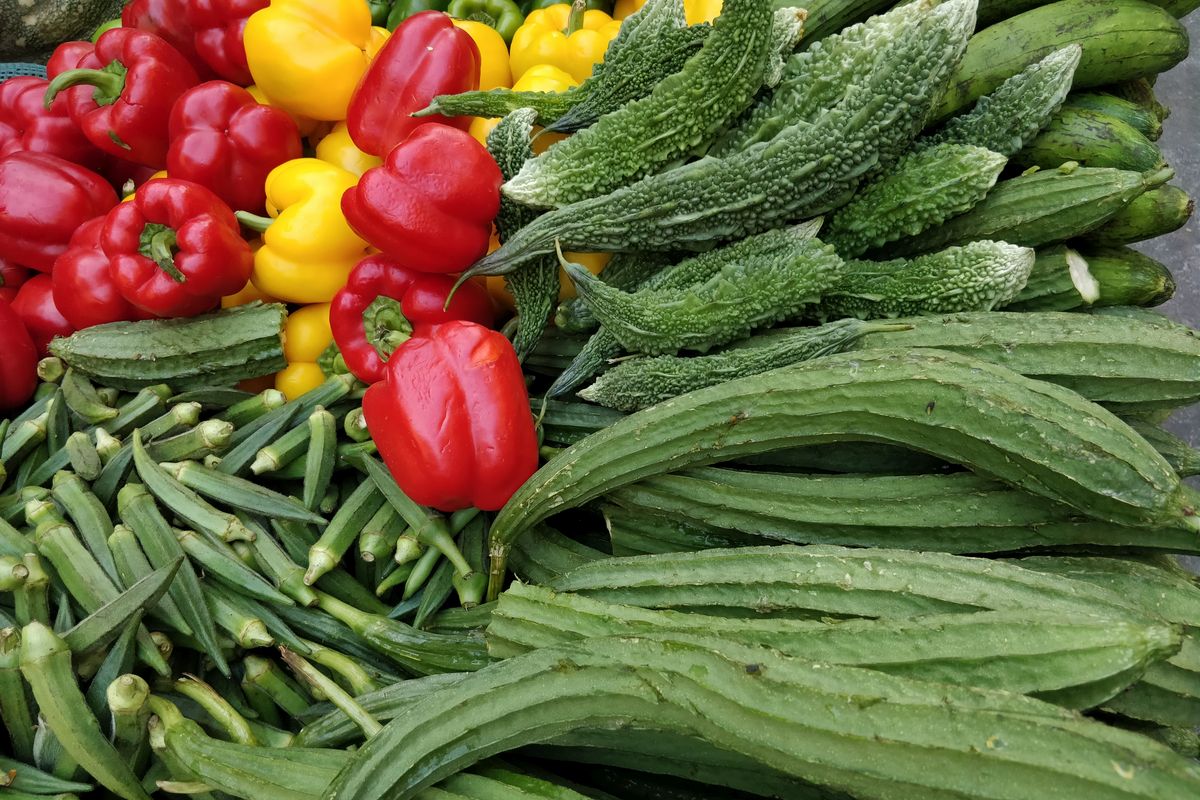 Why Should You Make Ridged Gourd And Bottle Gourd A Part Of Your Daily 