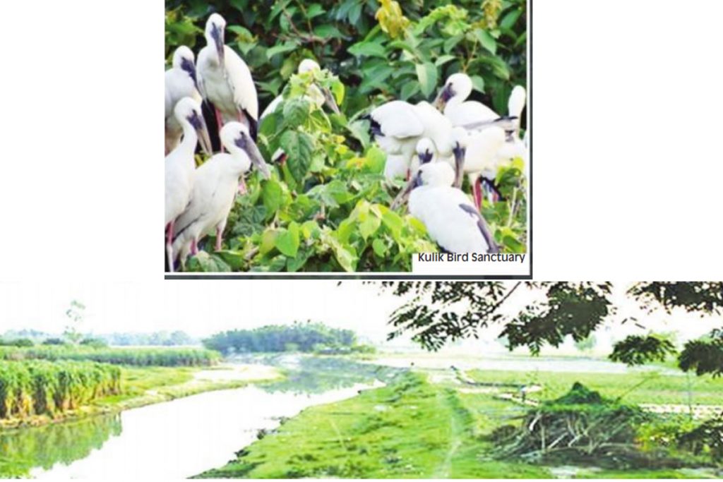 Kulik Bachao, River, Kulik Bird Sanctuary, Thakurgaon, Kamlabari Municipality, Raigunj