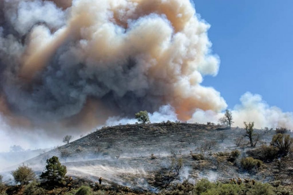 australia-assesses-damage-as-bushfires-claim-another-life-the-statesman