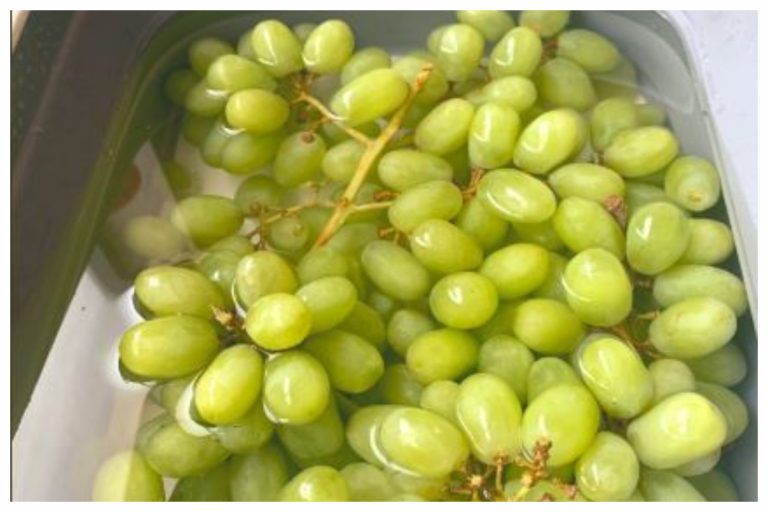 Grapes are a versatile fruit beneficial for health - The Statesman