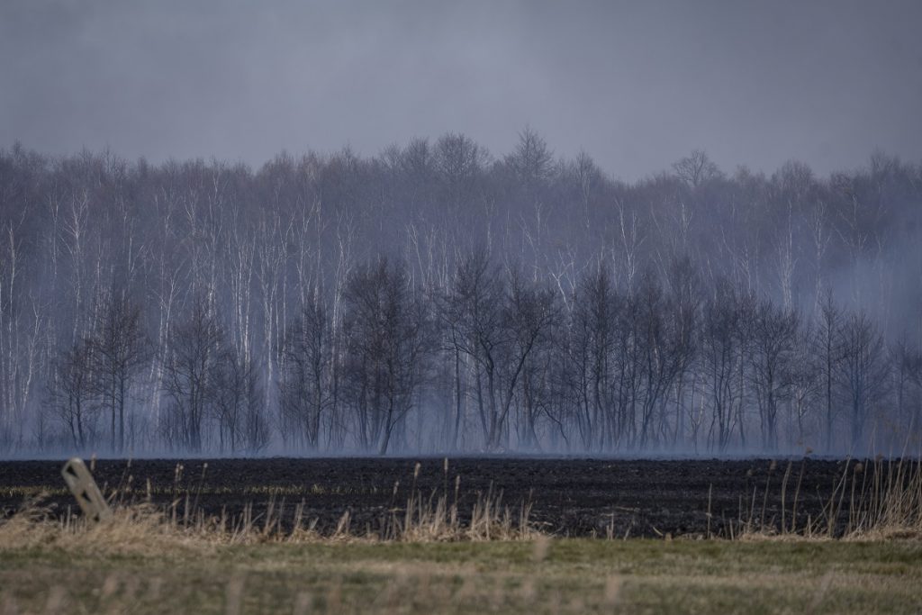 Massive Fire Destroys 6,000 Hectares Of Poland's Largest Nature Reserve 