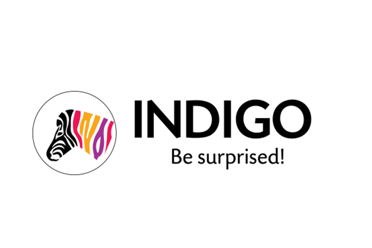 Indigo Paints IPO: कंपनी ने दी प्राइस बैंड से लेकर लॉट साइज समेत कई जानकारी  – News18 हिंदी