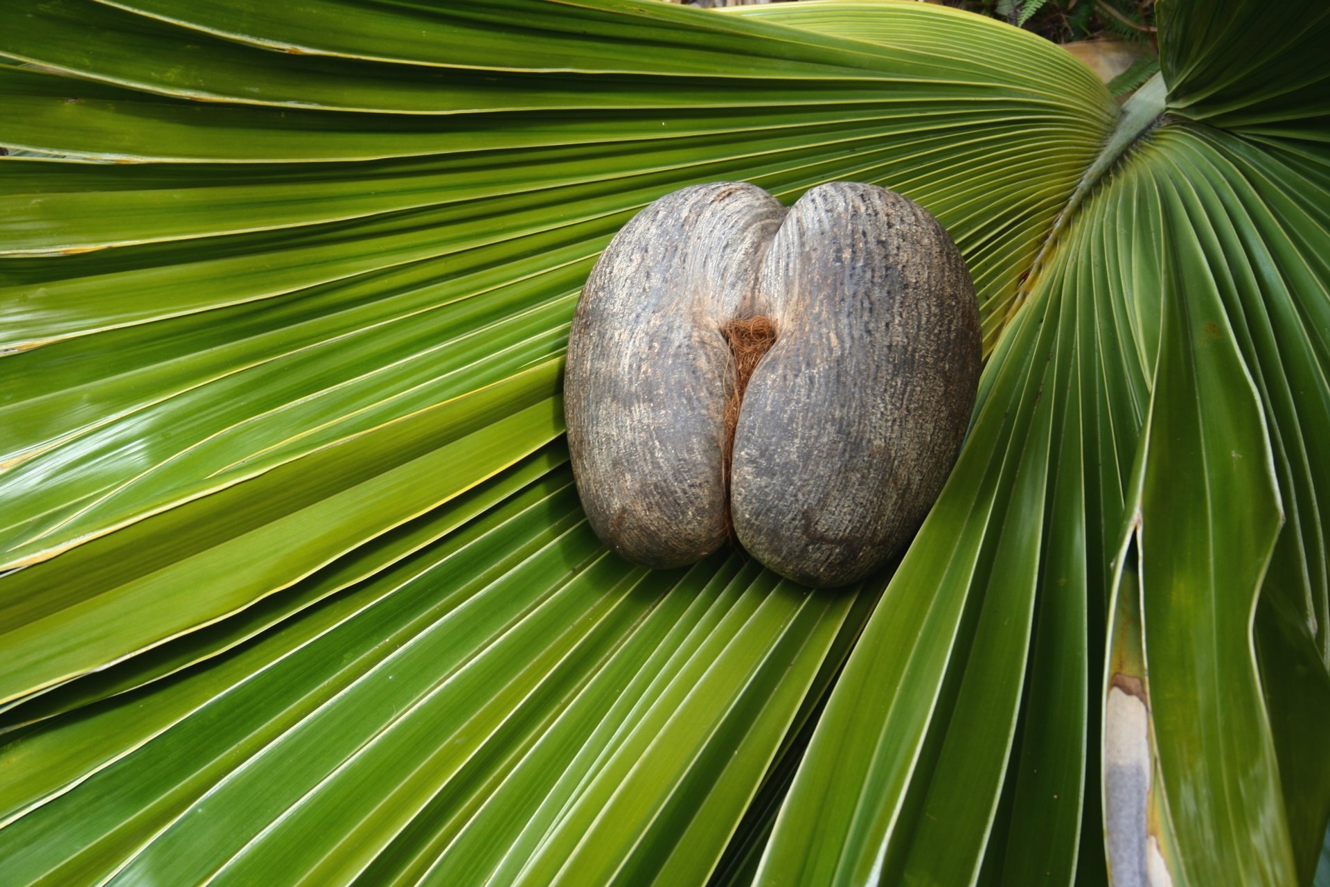  Seychelles, Island-hopping, getaway