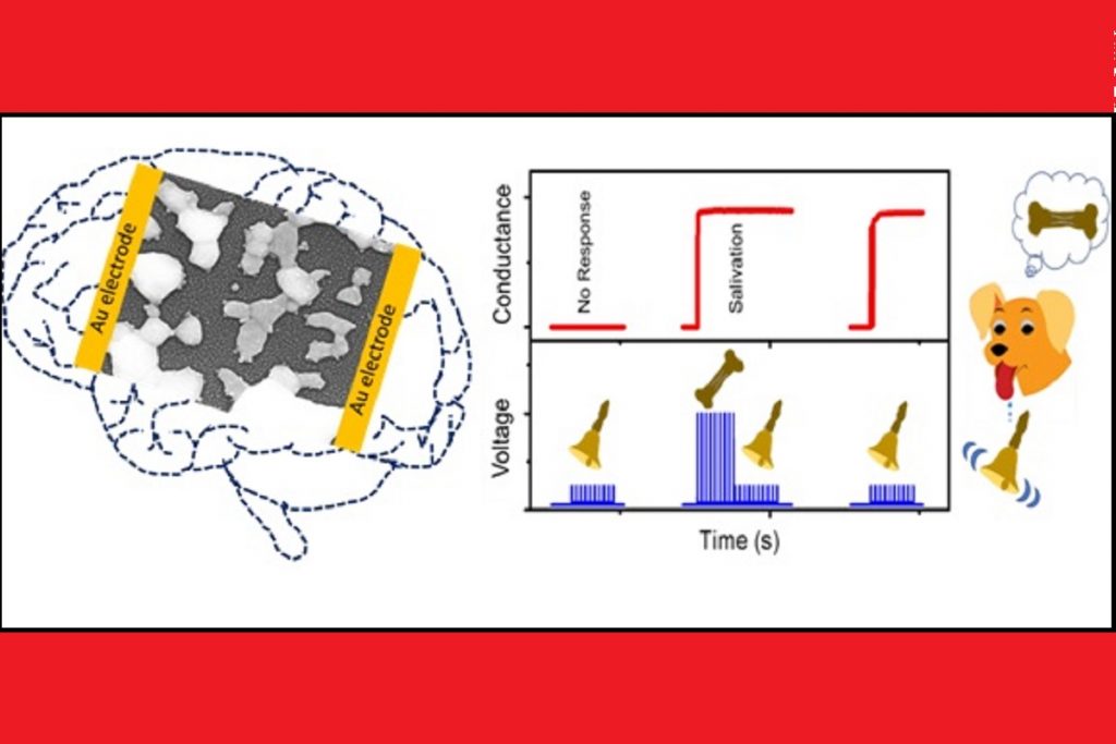 When Artificial Intelligence Mimics the Human Brain