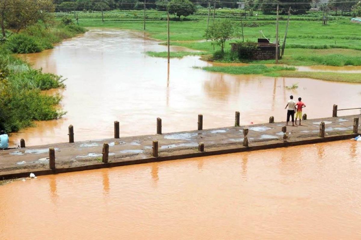 Markandeya dam dispute: CWC seeks details from four states