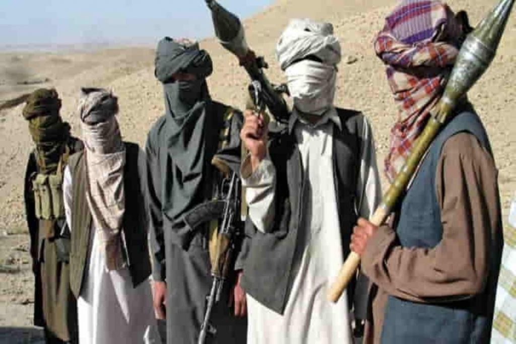 Crocodile has been fed, Taliban, Kabul, Afghanistan
