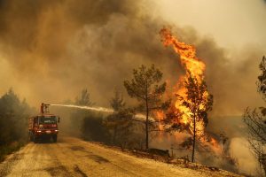 More Americans live in riskiest wildfire zones