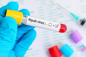 Nipah Threat