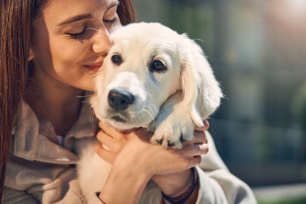 Tips To Make Your Home Pet-Friendly