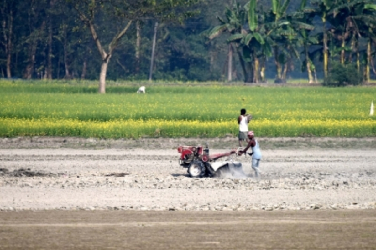 Climate change may reduce farm incomes in India by 15 per cent: Study