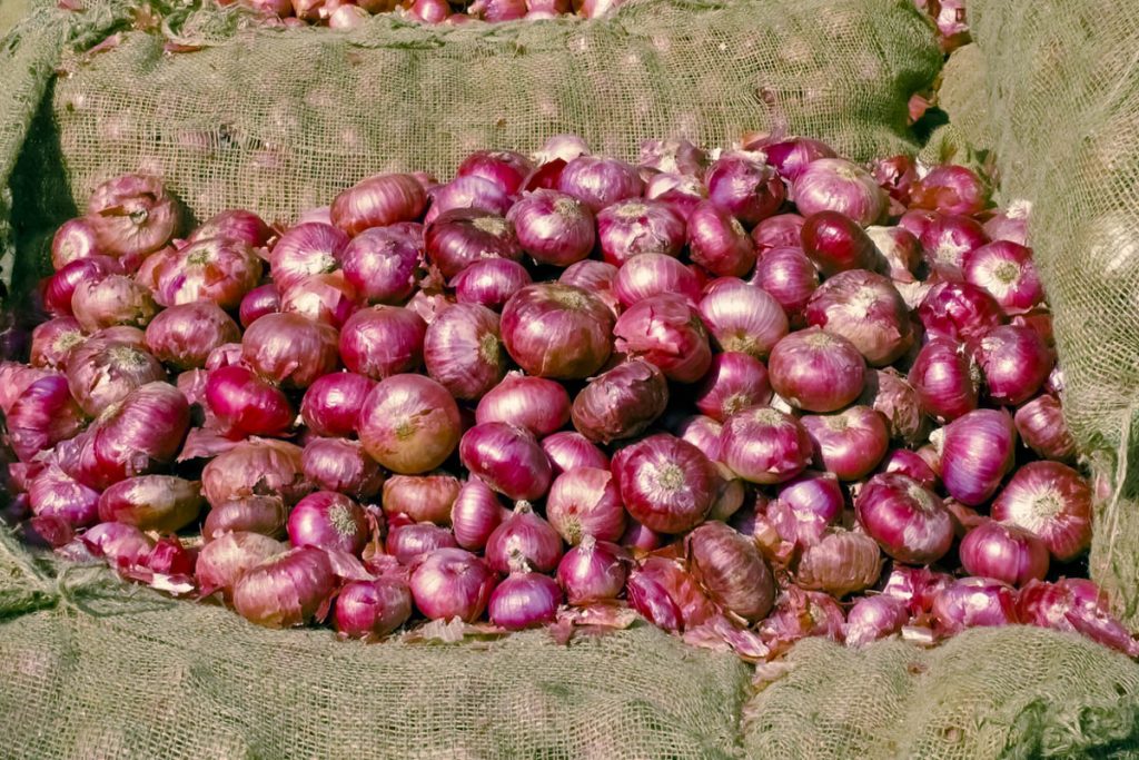 Onion exporrt, Centre, Withdraws, Duty
