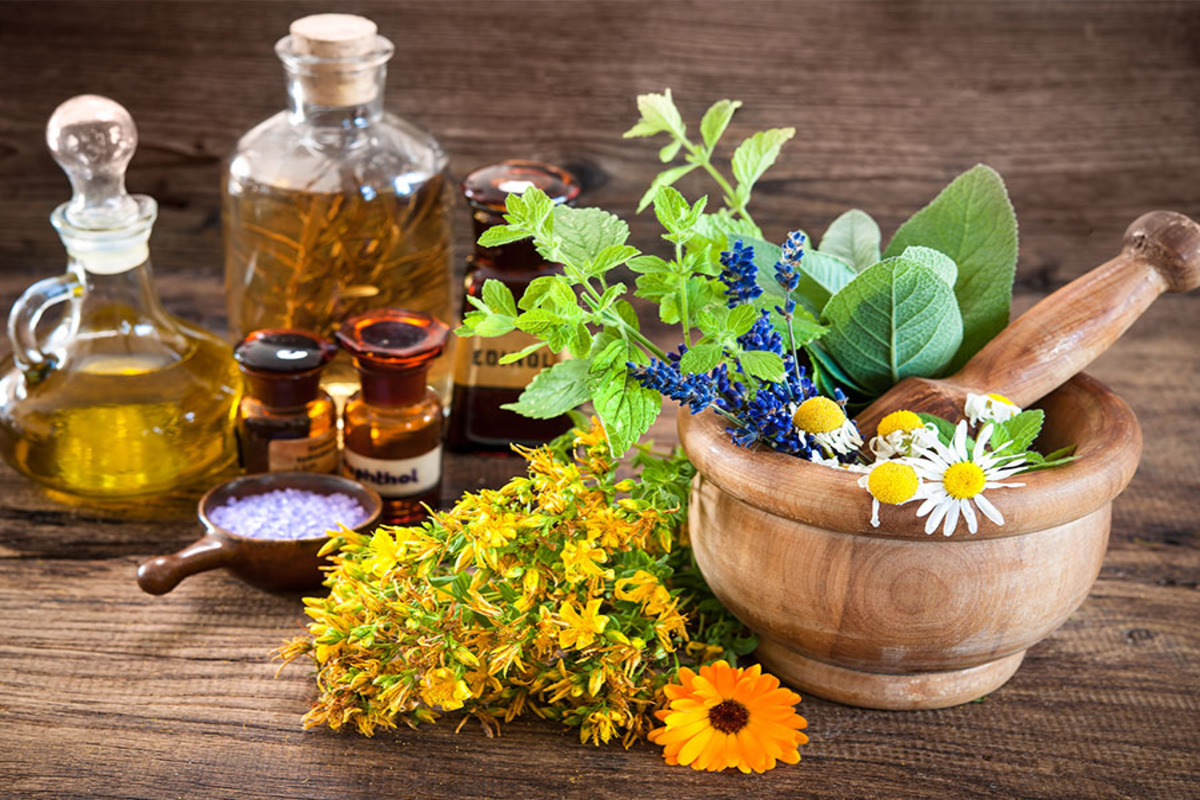Try These Herbs To Moisturize Your Skin Naturally The Statesman