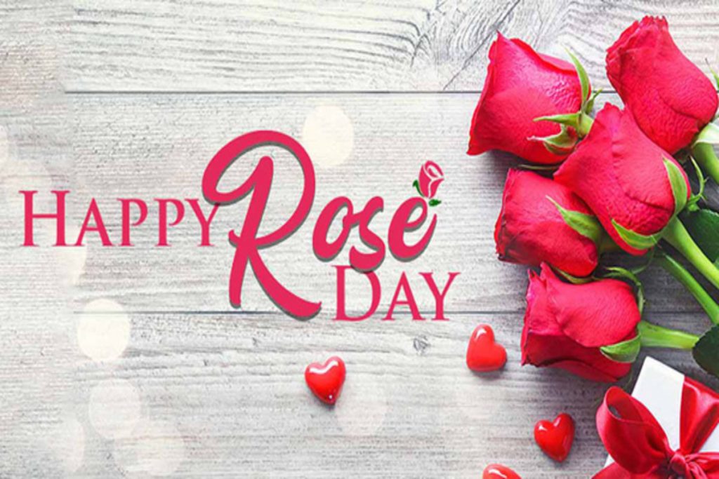 Happy Rose Day Status Whatsapp Status 2024🌹Happy Rose Day😍7th Feb  Status💕Valentine Special Day 2024😘 - YouTube