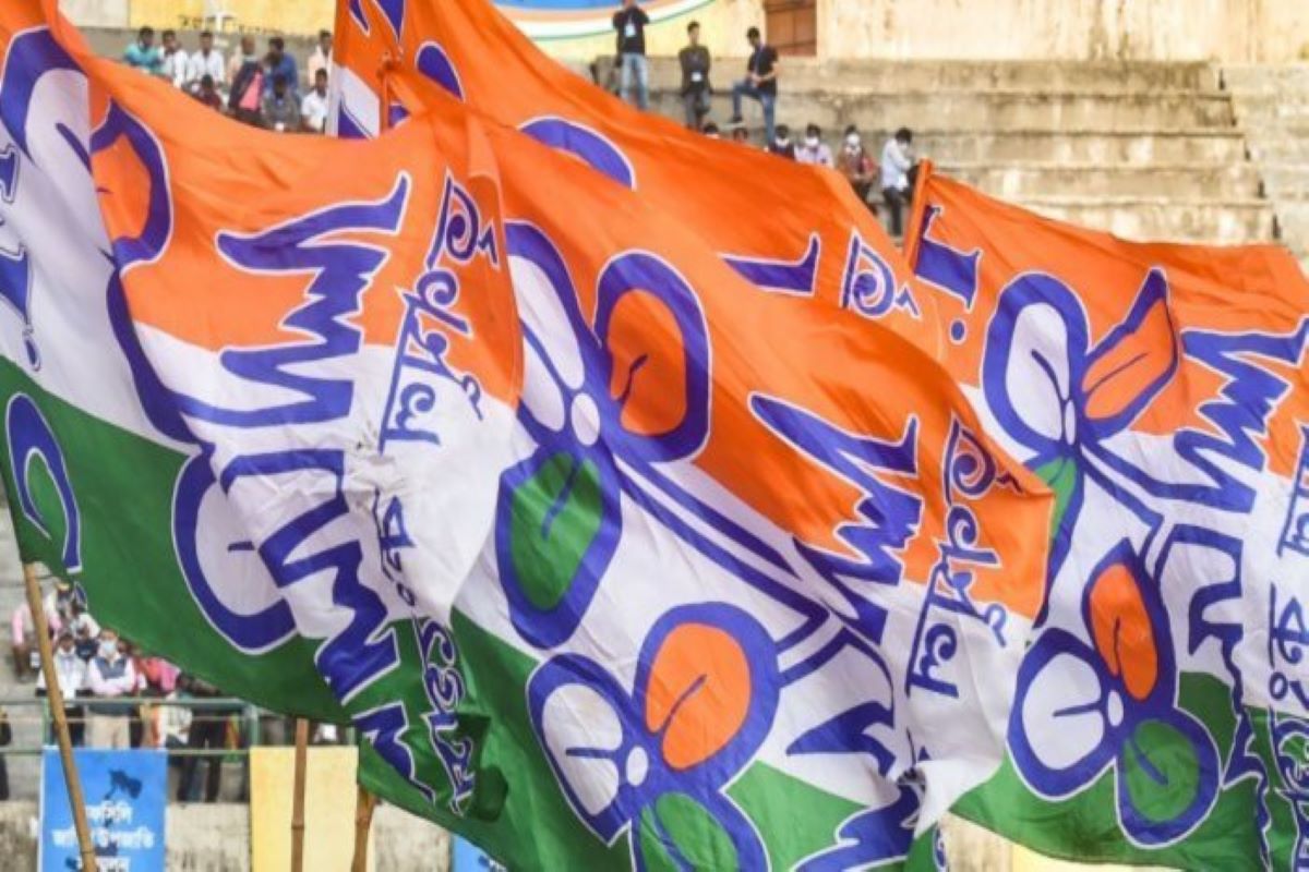 All India Trinamool Congress AITC Flag Colors Color Scheme  Blue   SchemeColorcom