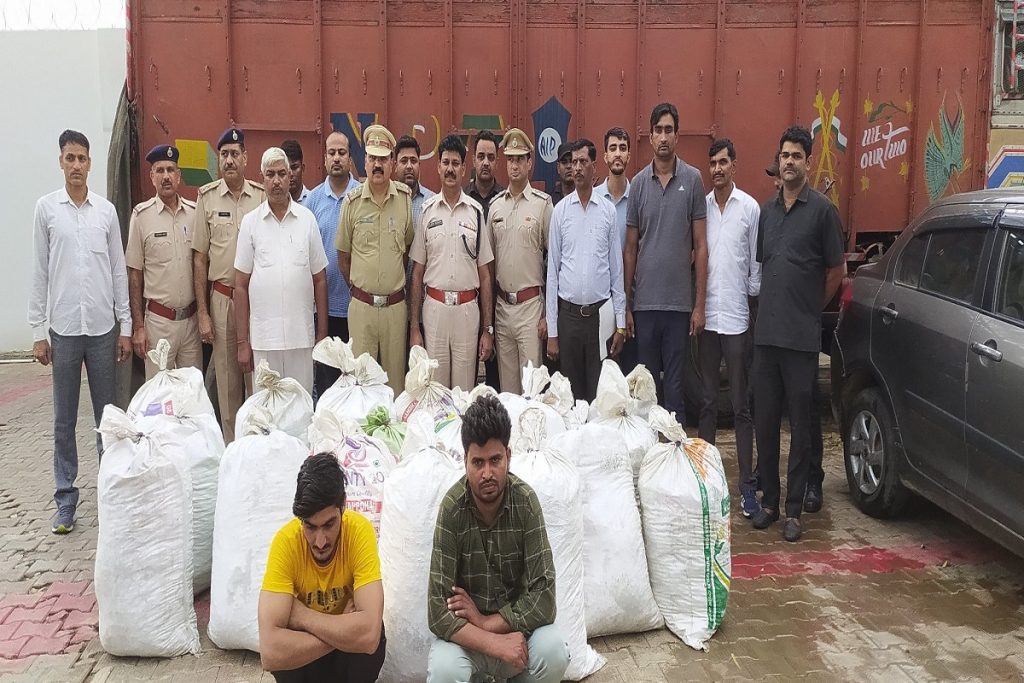 Over 759 kg ganja sourced from Odisha seized in Haryana