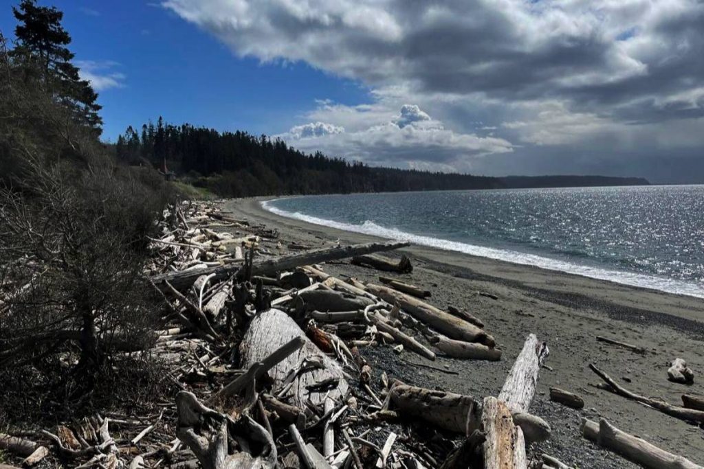 Whidbey Island