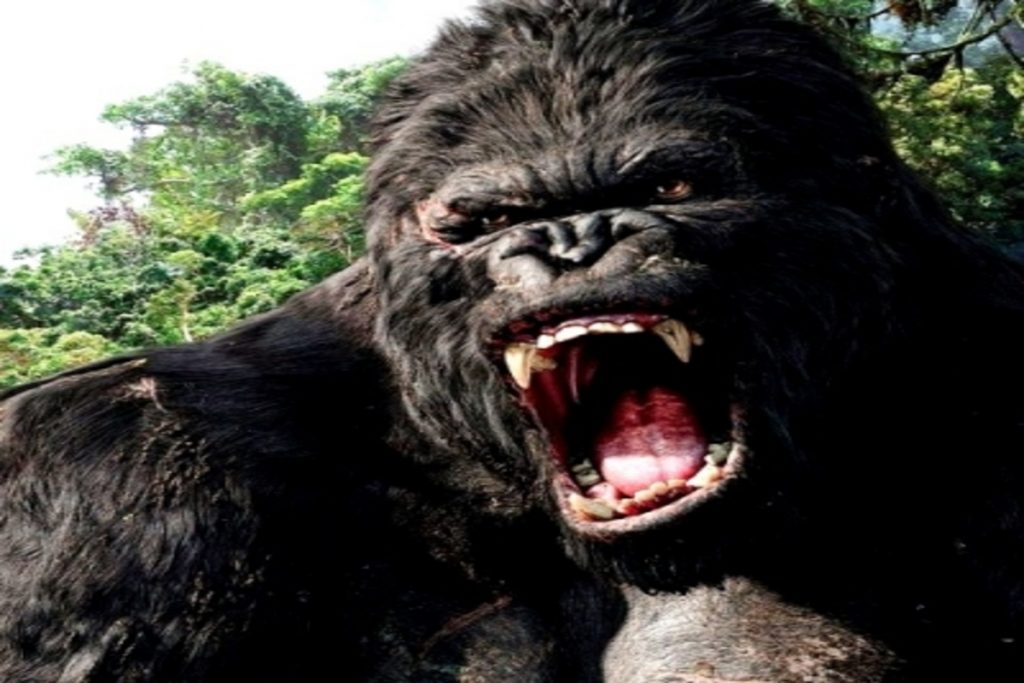 Live-action 'King Kong' Origin Series In Early Development