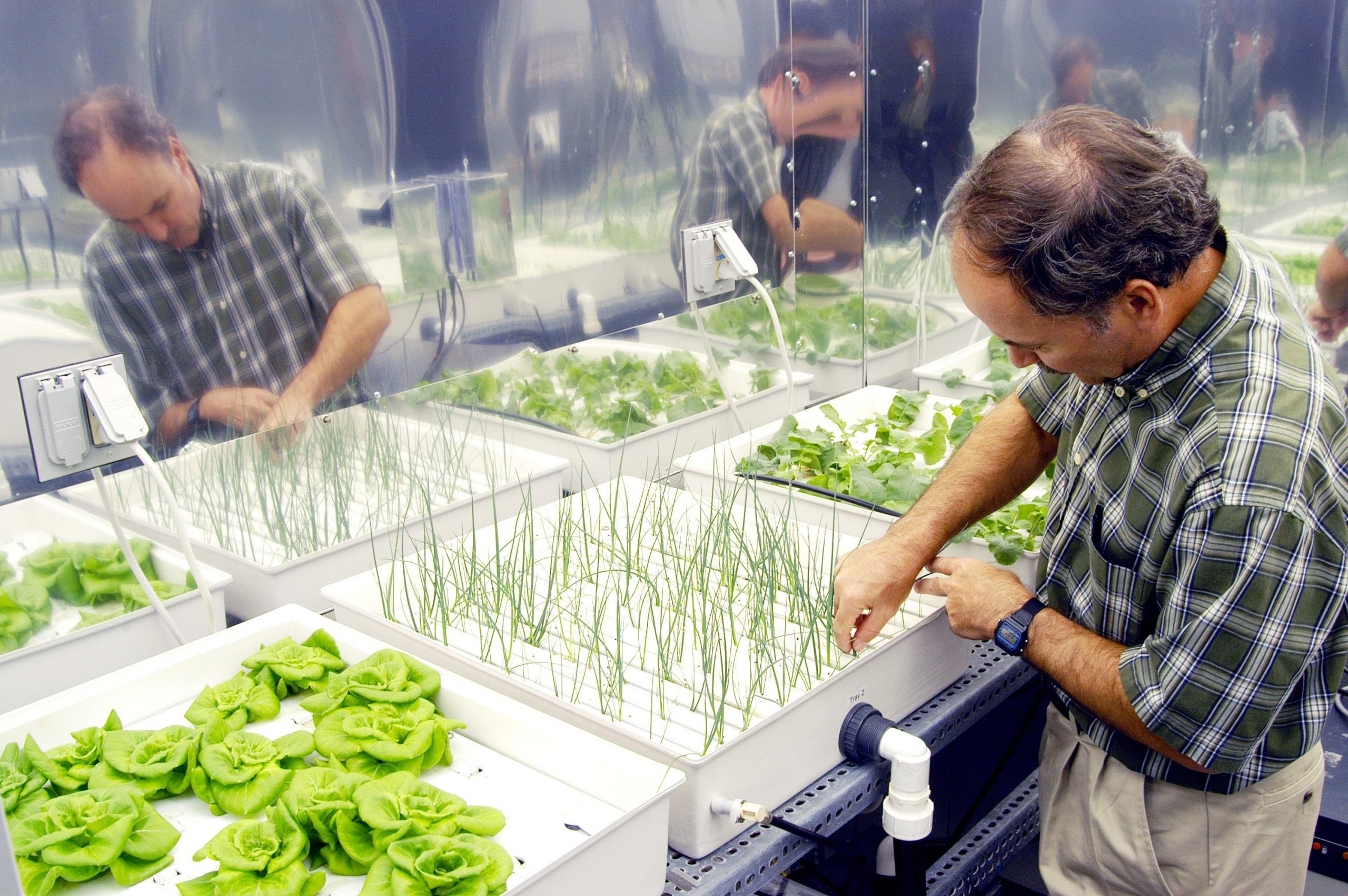 research on hydroponic farming