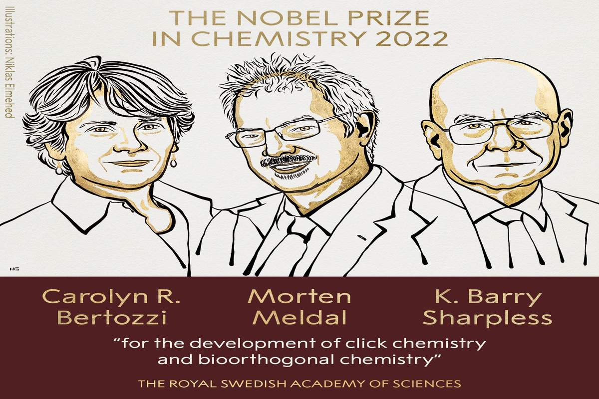 Carolyn Bertozzi, Morten Meldal, Barry Sharpless awarded Nobel Prize in Chemistry