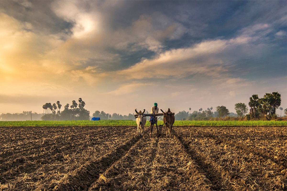 In Odisha election season, farmers’ plight remains firmly on politicians’ lips