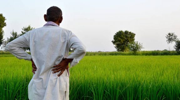 Farmers, Compensation, Crop loss, UP , UP Govt