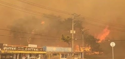 Wildfires destroy 100 homes in S.Korea amid typhoon-class strong winds