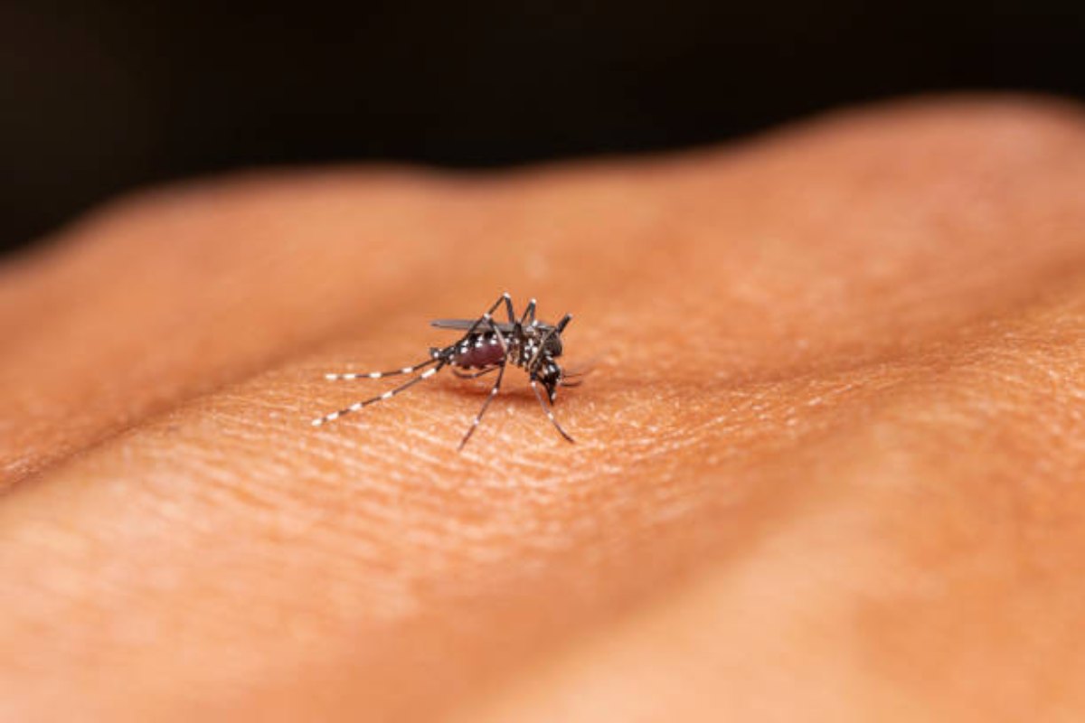 Health dept directives to prevent dengue