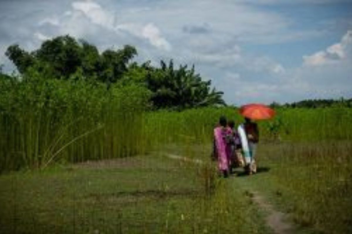 Tea production plummets in Assam &West Bengal due to adverse weather, prices remain unaffected