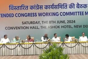 Congress CWC Meeting: State Units want Rahul Gandhi to accept Leader of Opposition post