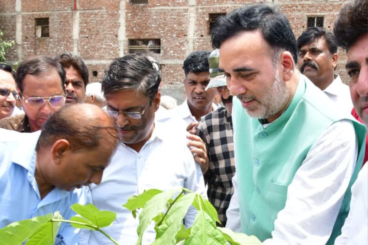 Rai launches tree plantation drive at Babarpur