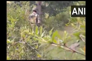 4 HM terrorists killed in Kashmir encounters, 2 army soldiers also martyred