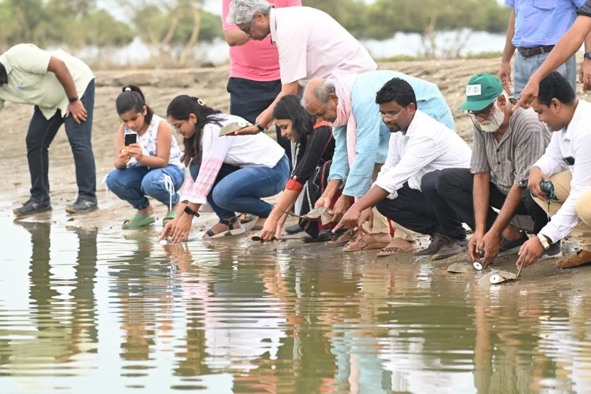 In a first, ZSI begins tagging of endangered horseshoe crabs in Odisha