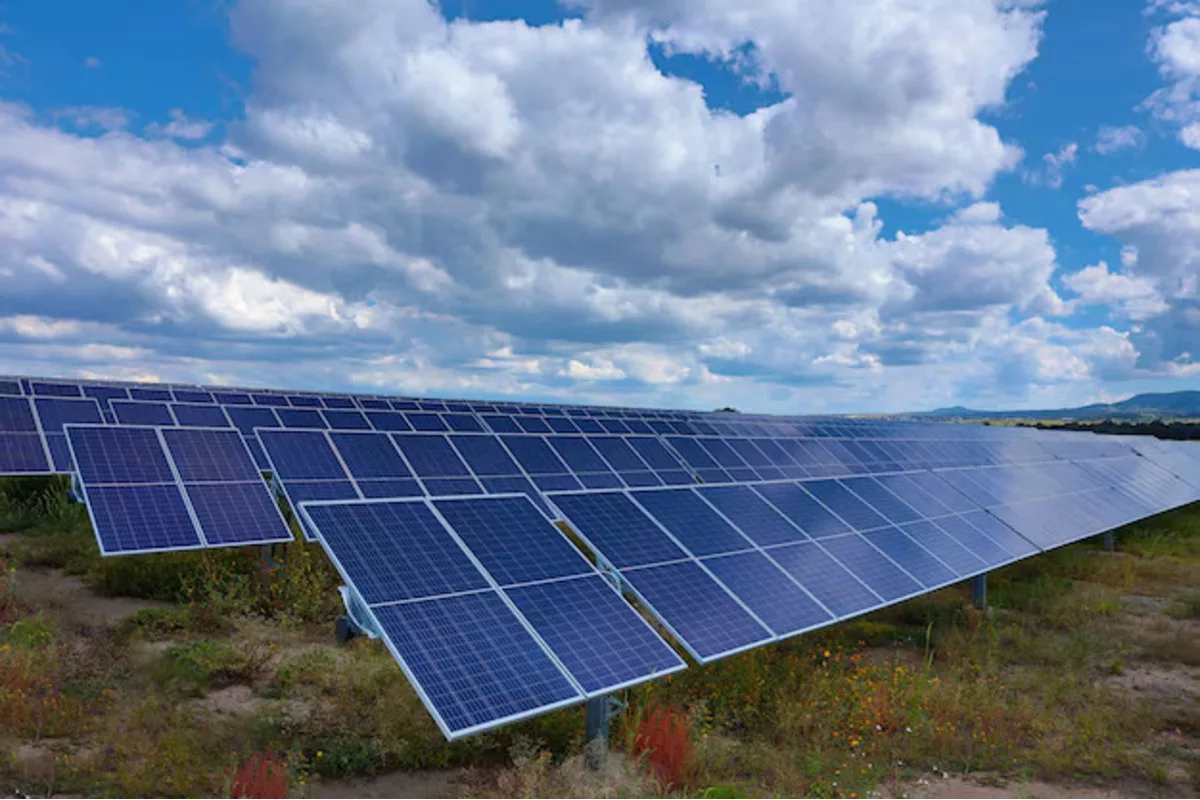 Solar tree in front of Burnpur House to generate green power - The ...