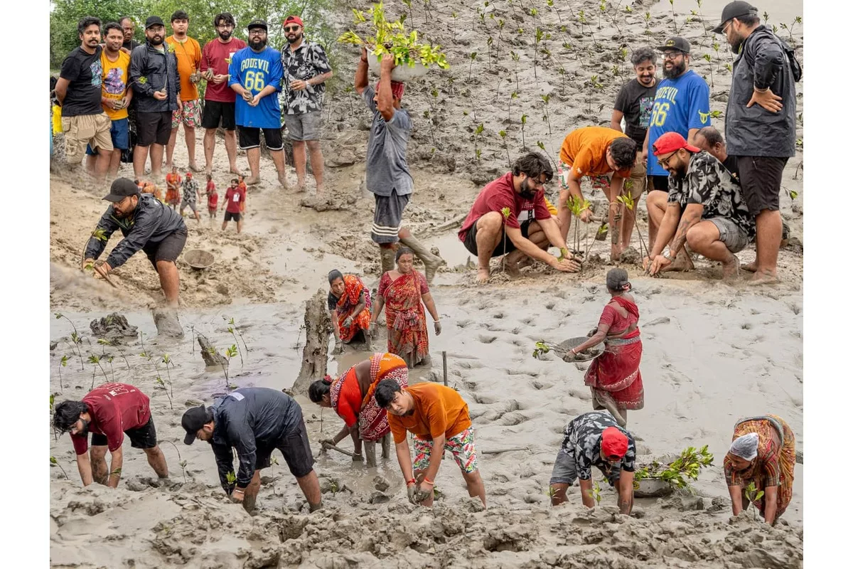 Planting seeds to restore harmony in nature